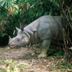 Copyright Klaus Lang