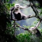 Copyright Le Khac Quyet University of Colorado Boulder