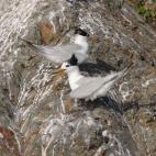 Copyright Martin Hale