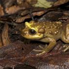 Copyright Andres Charrier