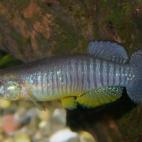 Copyright Heiko Karst