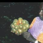 Copyright Axel Paulson