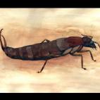 Copyright Justin Gerlach