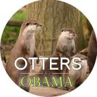 5c8b7a902300005400e84c13