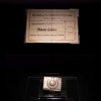 5c8a48512500000d04c8d6b8