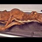 5c8b78fe22000030001aff3a