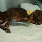 5c8b78fe2400006d054d91fb