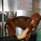 5c8b78ff3b000072066dac1e