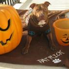 5c8b78ff200000450470d9f0