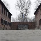 5c8a9cd22300007f01235598