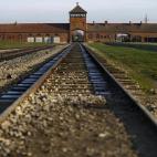 5c8a9cd52400006b054c1566