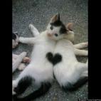 5c8aa4132300007f01236837