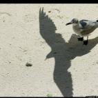 5c8aa4192000009e046f74ae