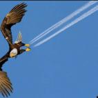 5c8aa41a2300002f00e6e02c