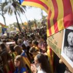 5c8aab213b000070066c5888