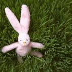 Cuanto más querido es un peluche, más sucio se pone. Mocos, vómito, lágrimas, restos de comida... todo eso va a acabar en el amiguito peludo de tu hijo. Si lo lavas con un programa para prendas delicadas (o con un programa normal pero dent...