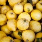 Contiene grandes cantidades de antioxidantes, tales como vitamina C y anticianósidos, capaces de purificar y proteger a las células del hígado, favoreciendo su regeneración. Para purificarse y desintoxicarse, es recomendable beber un zumo de...