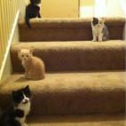 5c8accd42400004205a3b60a