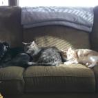 5c8accd72300007f0123bb9a