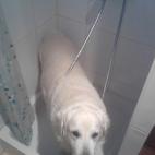 5c8accd8230000dd0423bb9c