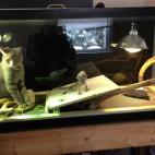 5c8accd8250000bd0581c5bc