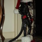 5c8accd92000009d036fc609