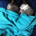 5c8accd92400006b054c7b11