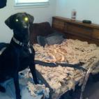 5c8accda2300007f0123bba4