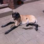 5c8accda3b000054066c98ed