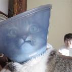 5c8accdc360000a61b6c1882