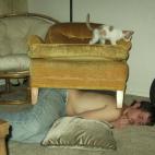 5c8accde2400006c05a3b628