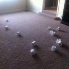 5c8acce0240000f7054c7b1f