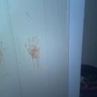 5c8acce020000045046fc617