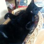 5c8acce1360000e01c6c1888