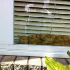 5c8acce22300005300e732a0