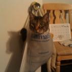 5c8acce220000043046fc61c