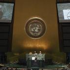 5c8accaf2300005300e73240