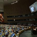 5c8accb0230000d50423bb50