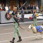 La Legión, con su protagonista ineludible, la cabra.