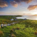 ¿Sabes de dónde procede tu familia? Descúbrelo y luego planea un viaje a ese lugar. Si es posible, antes de ir pide a algún familiar que te haga una guía personalizada de su ciudad natal.