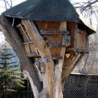 (Flickr foto plebeian regime)