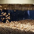 Las bolas de la suerte