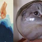 (Cortesía hurly-burly.com.au)