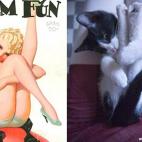 (Cortesía hurly-burly.com.au)