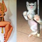 (Cortesía hurly-burly.com.au)