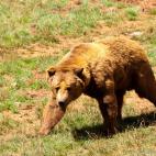 El Parque de Naturaleza de Cabárceno es uno de esos lugares que siempre debería existir para que nuestros hijos descubran cómo es de verdad la naturaleza, más allá de los documentales en la televisión. Cantabria es el lugar favorito para...