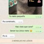 WhatsApp Madre