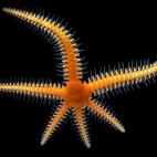 5c8b80ce2400000a05a4e2ab