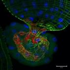 Undécima posición.