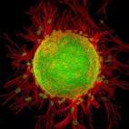 Duodécima posición.